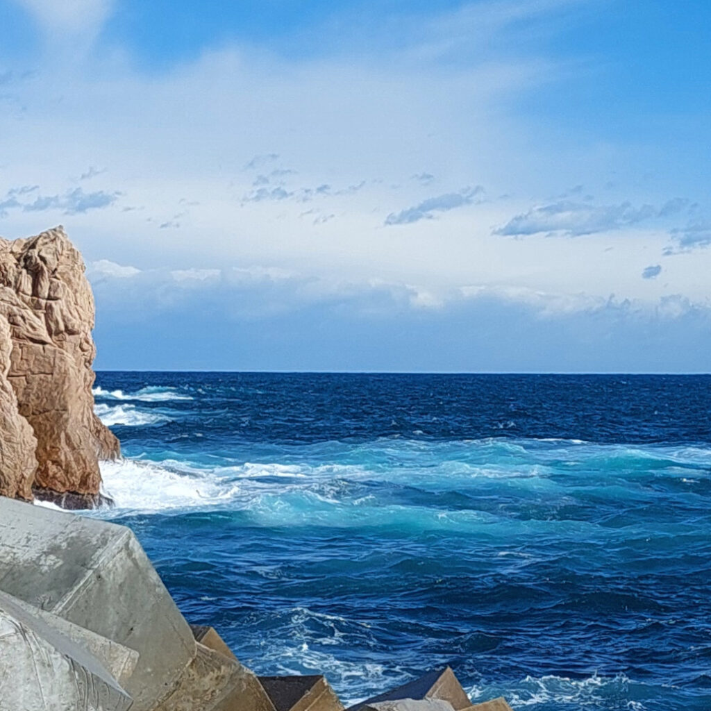 Espigó Sant Feliu Serveis